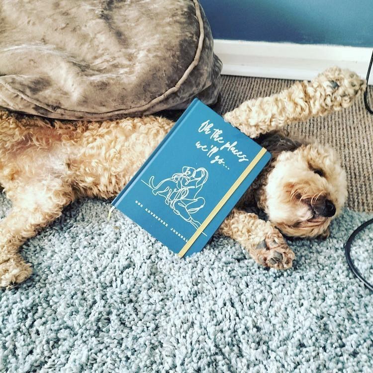 The Dog Adventure Journal - PREORDER
