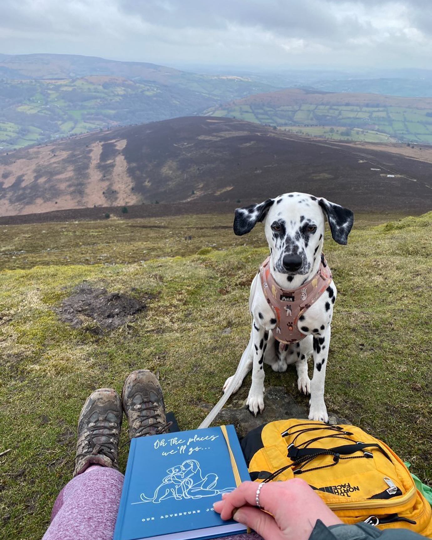 The Dog Adventure Journal - PREORDER