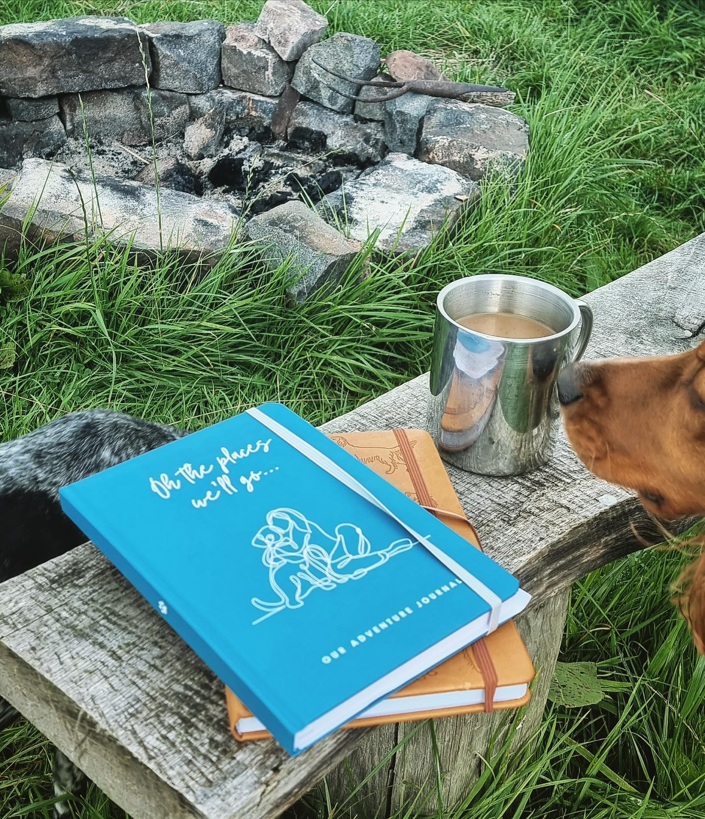 The Dog Adventure Journal - PREORDER