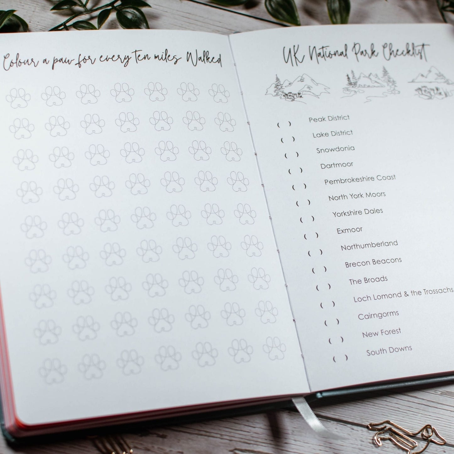 Journals The Dog Adventure Journal - Paws Enrich Plan - Dog, Puppy, Nature & Adventure Inspired Stationery
