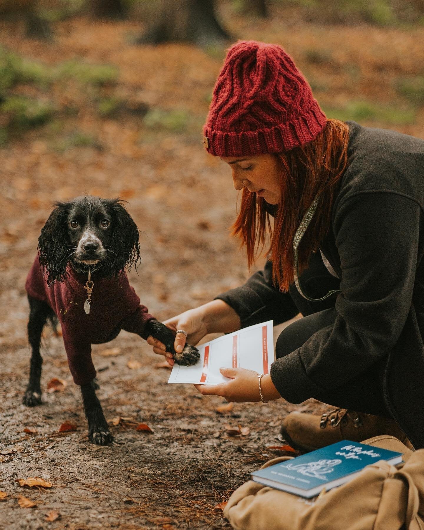 Journals The Dog Adventure Journal - Paws Enrich Plan - Dog, Puppy, Nature & Adventure Inspired Stationery